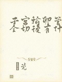 子宫输卵管卵巢全切后有什么影响