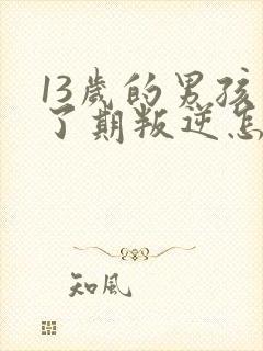 13岁的男孩到了期叛逆怎么教