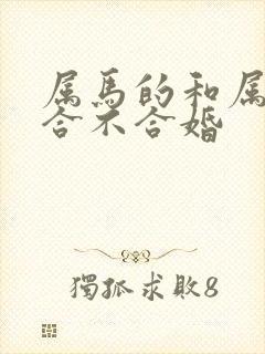 属马的和属牛的合不合婚