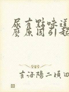 尿有点味道是什么原因引起的