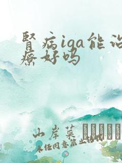 肾病iga能治疗好吗