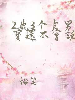 2岁3个月男宝宝还不会说话