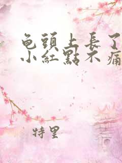 龟头上长了好多小红点不痛不痒