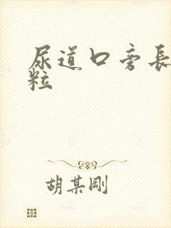 尿道口旁长小肉粒