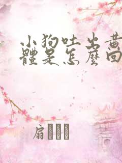 小狗吐出黄色液体是怎么回事