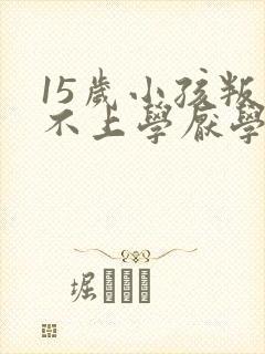 15岁小孩叛逆不上学厌学怎么办