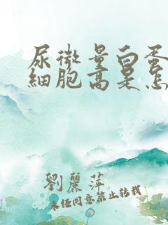 尿微量白蛋白红细胞高是怎么回事