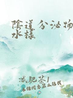 阴道分泌物呈黄水样