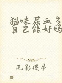 猫咪尿血多喝水自己能好吗