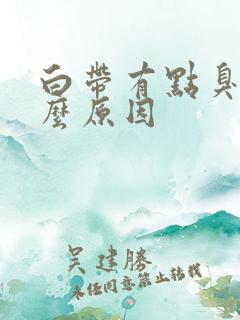 白带有点臭是什么原因