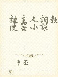 被主人调教当肉便器小说