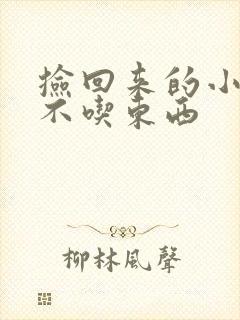 捡回来的小野猫不吃东西