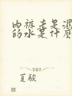 内裤老是湿黄黄的水是什么原因