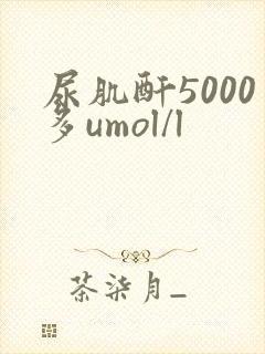 尿肌酐5000多umol/l