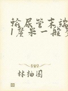 输尿管末端结石1厘米一般多久排出