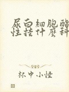 尿白细胞酯酶阳性挂什么科