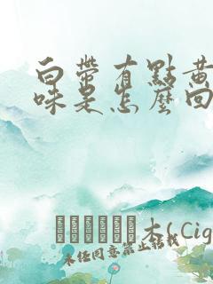 白带有点黄有酸味是怎么回事