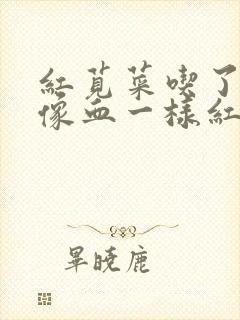 红苋菜吃了小便像血一样红