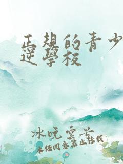 正规的青少年叛逆学校