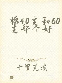 棉40支和60支哪个好