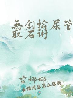 无创输尿管软镜取石术