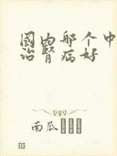 国内哪个中医院治肾病好