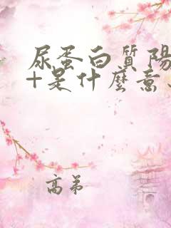 尿蛋白质阳性3+是什么意思,严重吗