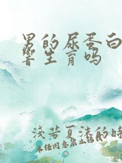 男的尿蛋白高影响生育吗