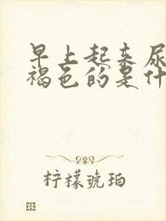 早上起来尿是红褐色的是什么原因