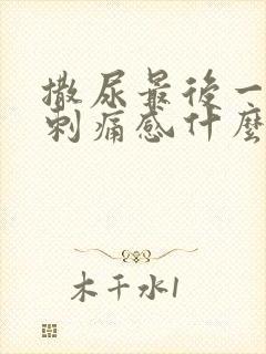 撒尿最后一下有刺痛感什么情况女