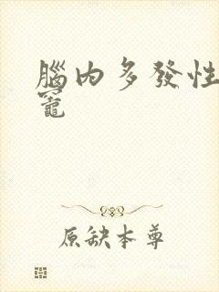 脑内多发性腔隙灶