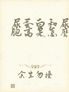 尿蛋白和尿白细胞高是怎么回事