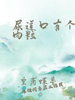 尿道口有个小红肉粒