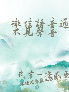 微信语音通话听不见声音