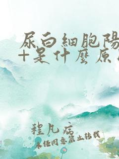 尿白细胞阳性2+是什么原因