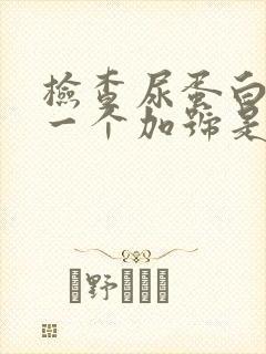 检查尿蛋白质有一个加号是怎么回事