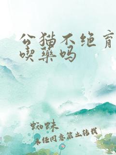 公猫不绝育可以吃药吗