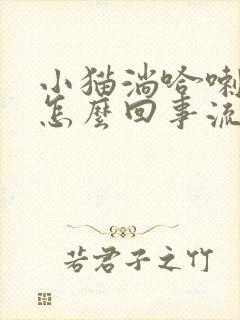 小猫淌哈喇子是怎么回事流口水猫