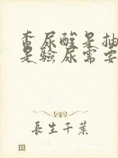 查尿酸是抽血还是验尿需要空腹吗