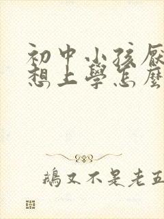 初中小孩厌学不想上学怎么办