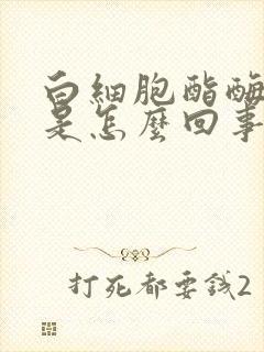 白细胞酯酶1十是怎么回事