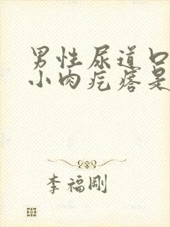 男性尿道口长个小肉疙瘩是怎么回事