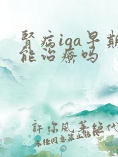 肾病iga早期能治疗吗