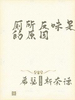 厕所反味是哪里的原因