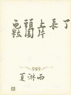 龟头上长了一肉粒图片