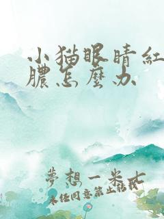 小猫眼睛红肿化脓怎么办