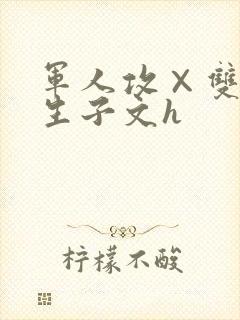 军人攻×双性受生子文h