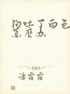 狗吐了白色泡沫怎么办