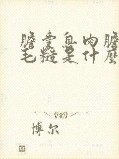 胆囊息肉胆囊壁毛糙是什么意思