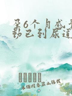 孕6个月感觉胎动已到尿道口